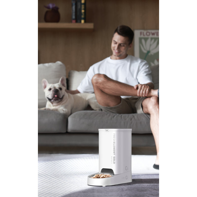 Petkit Fresh Element Solo & Reviews | Wayfair